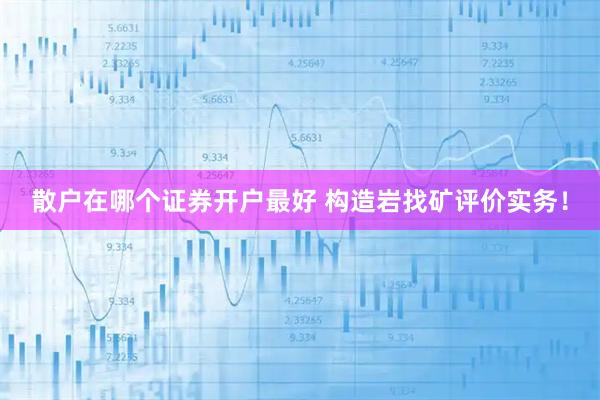 散户在哪个证券开户最好 构造岩找矿评价实务！