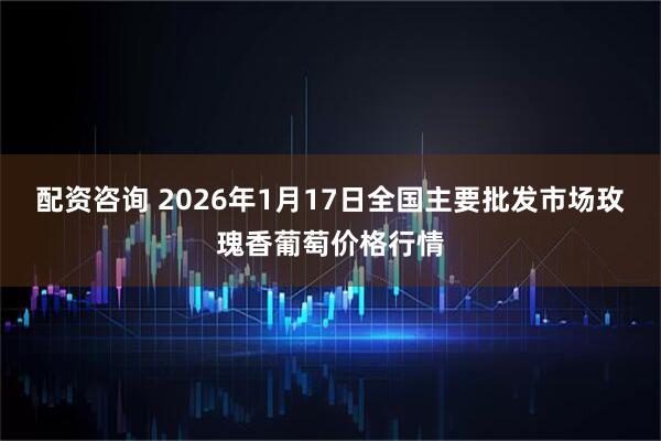 配资咨询 2026年1月17日全国主要批发市场玫瑰香葡萄价格行情